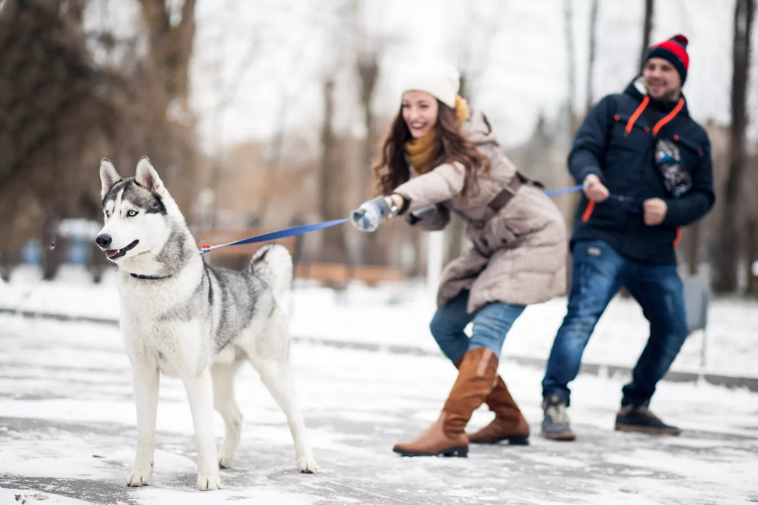 Jagdtrieb rückruftraining